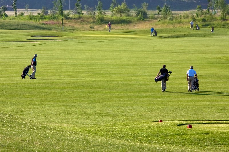 _MG_0289.jpg