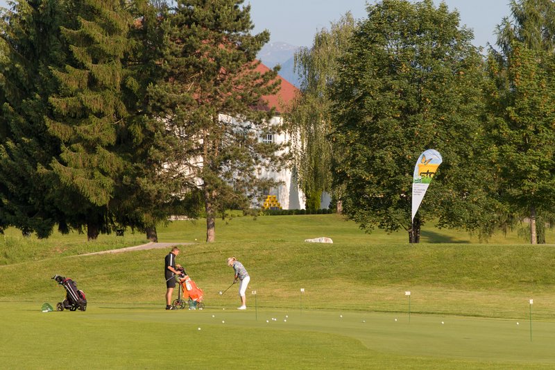 _MG_2457.jpg