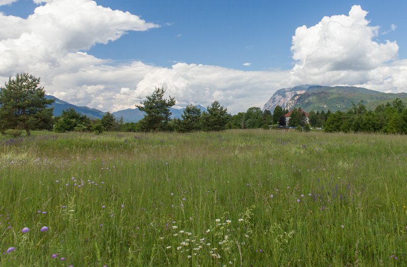 _MG_7244.jpg