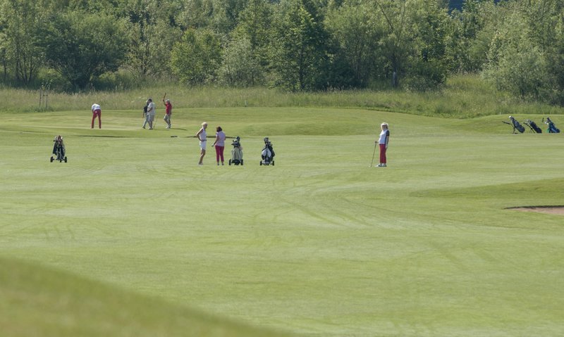 _MG_2651.jpg
