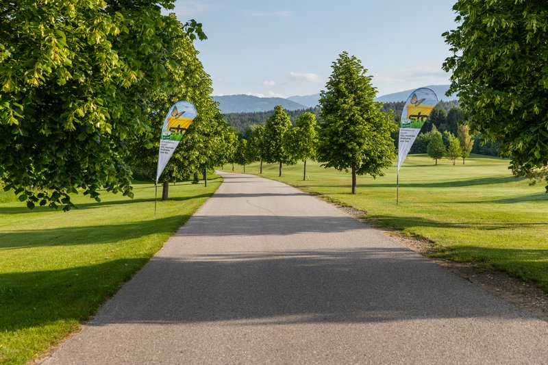 _MG_8622.jpg