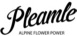 Pleamle